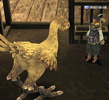 ついに引退の時が・・・