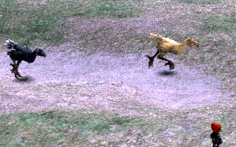 三人組の黒チョコと競争