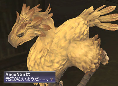 寂しそう(´・ω・`)