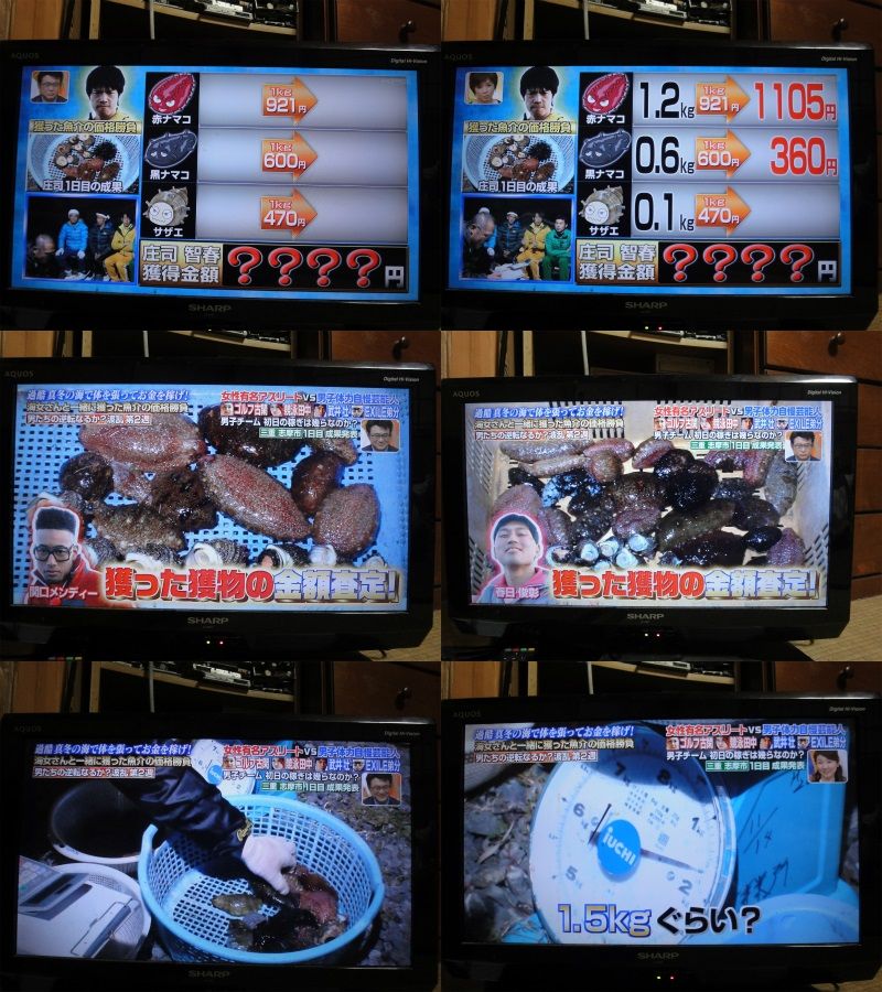 黒ナマコの卸値の値段や価格は１ｋｇ当たり約６００円です 小林ペイントのブログへようこそ 福島県 中島村