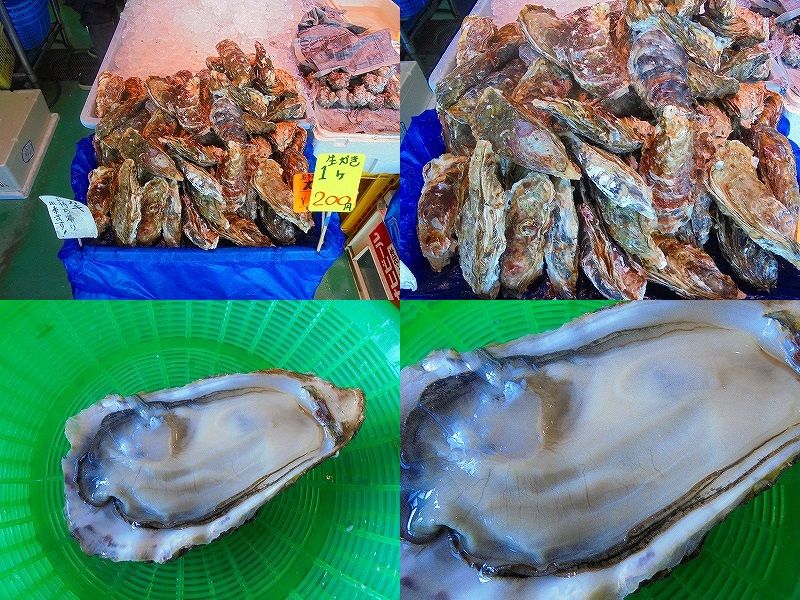 福島県のいわき市の ららみゅう で生食用生牡蠣が２００円で売ってた 小林ペイントのブログへようこそ 福島県 中島村