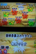 DSC05419_new_0000