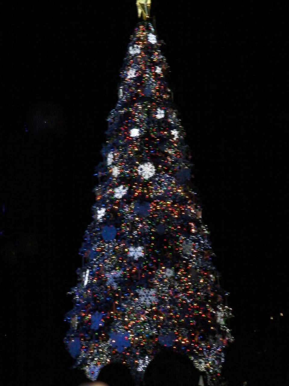TREE2
