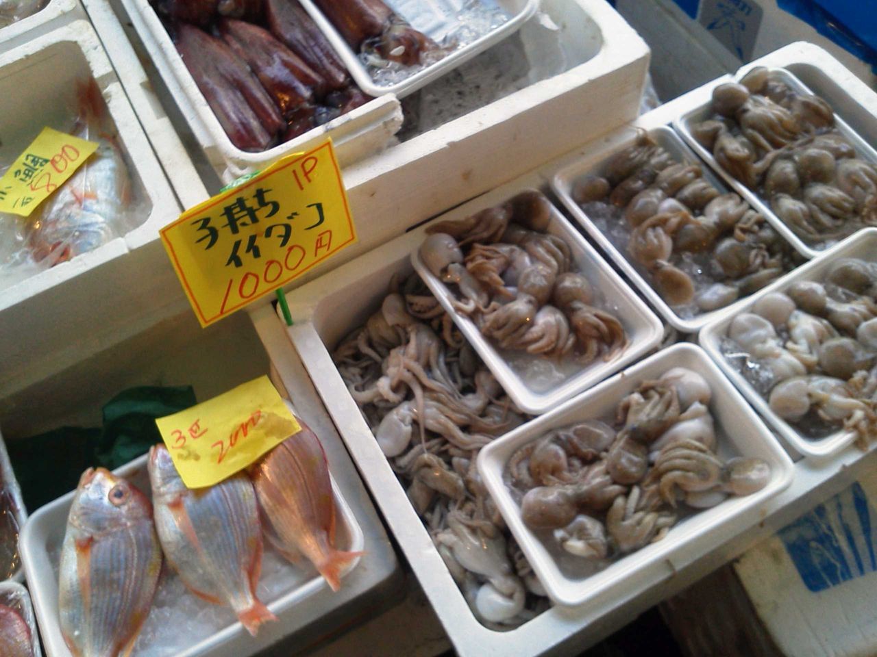 iidako