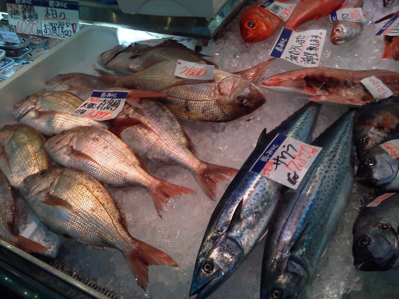 sawara