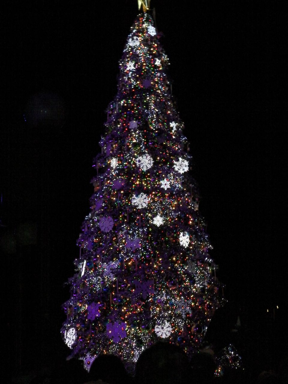 TREE3