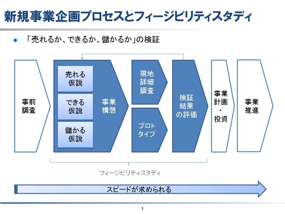 日本企業の海外展開と現地調査 ～FS：フィジビリティスタディ