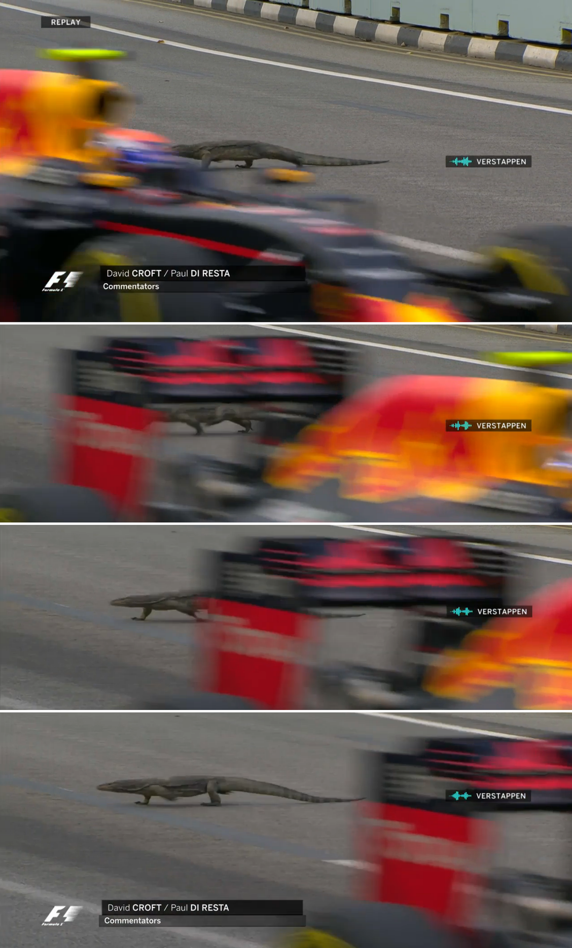トカゲとマーシャルが参戦したf1シンガポールgp F1通信 トカゲとマーシャルが参戦したf1シンガポールgp F1通信