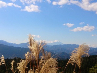 �ٻΤȥ�����