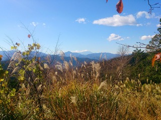 ����������ٻΤȥ�����