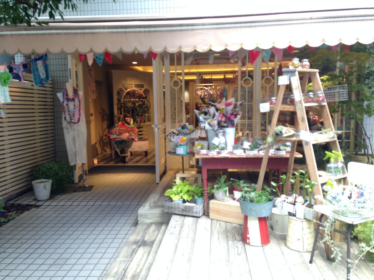 池ノ上 Marmelo Flower