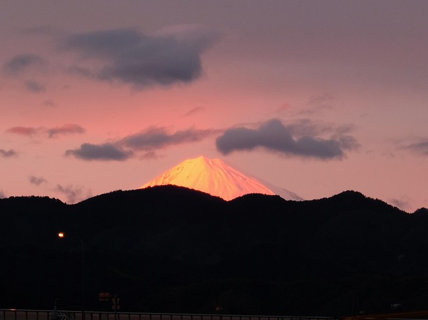 fuji