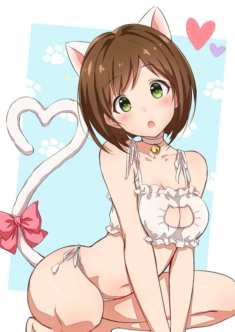 2次 甘えられたい猫耳っ娘の可愛い二次エロ画像 その５ 猫耳っ娘 虹フェチちゃんねる