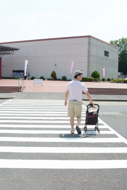 わんことリトルワールド 前半 世界一周回るぜ まろまゆげのわんこがいる暮らし 愛犬との日々を記録に残そう わんことリトルワールド 前半 世界一周回るぜ まろまゆげのわんこがいる暮らし 愛犬との日々を記録に残そう