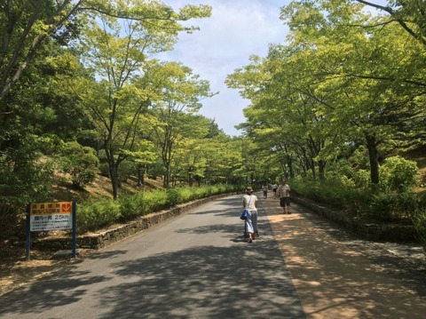 リトル_3499