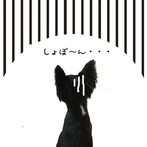 名称未設定-1