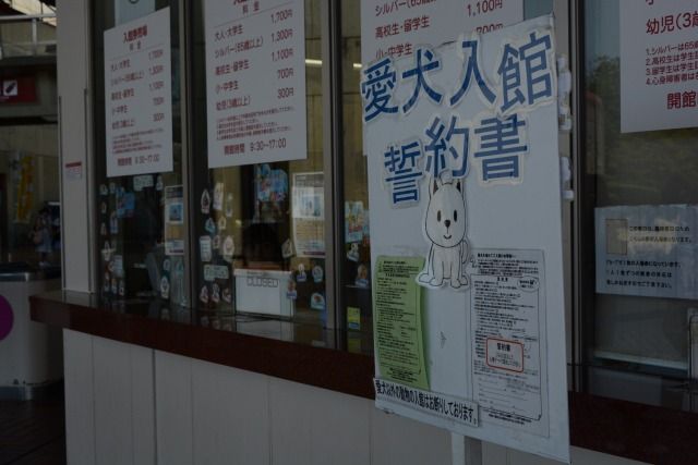 わんことリトルワールド 前半 世界一周回るぜ まろまゆげのわんこがいる暮らし 愛犬との日々を記録に残そう