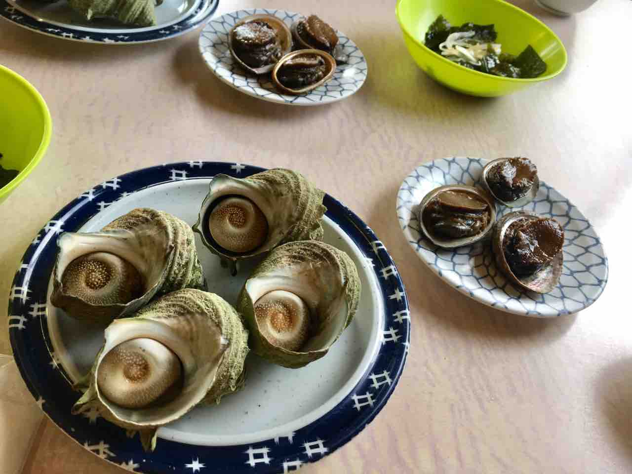目がクリクリ 三重の 海女小屋磯人さん にアワビを食べに行く 6ケ月 まろまゆげのわんこがいる暮らし 愛犬との日々を記録に残そう