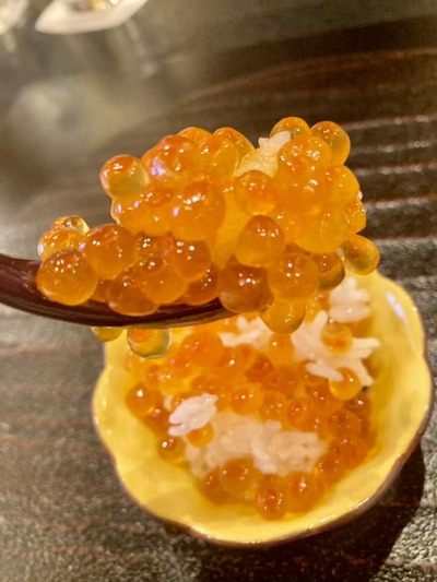 311268200_5421830414603307_7559352729581502926_n