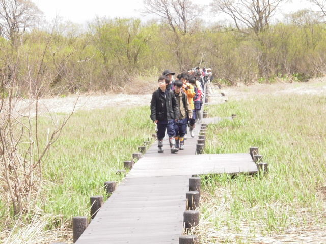 野鳥観察会 石狩浜海浜植物保護センター ぬかみそ 野鳥観察会 石狩浜海浜植物保護センター ぬかみそ