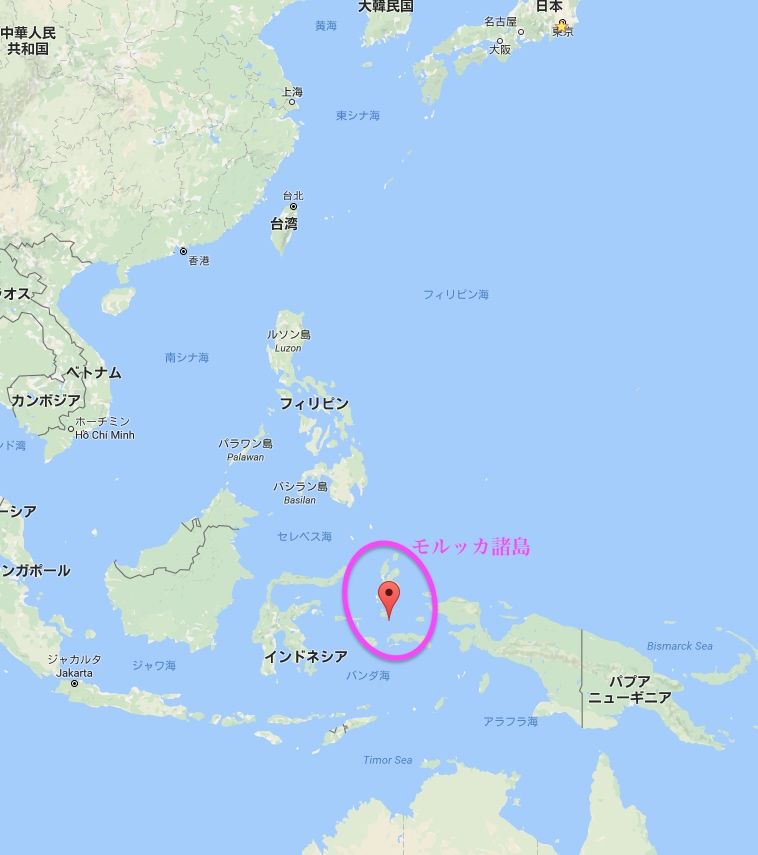 ベストコレクション マルク諸島 画像を見つけるのに最適な場所 ベストコレクション マルク諸島 画像を見つけるのに最適な場所