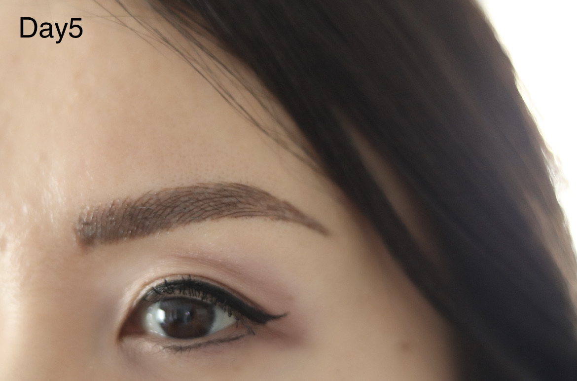 18ヶ月振りにmicroblading その後の経過 眉毛アートメイク Marriage Life In Arizona アリゾナで国際結婚 Powered By ライブドアブログ