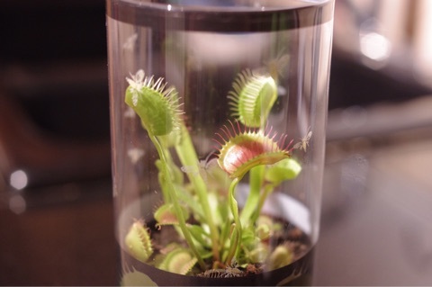 {267CA996-E441-43D9-A827-AAAADDDC3D20}