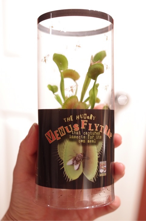 {5BB63713-C24D-4272-BE92-265DC55978A4}