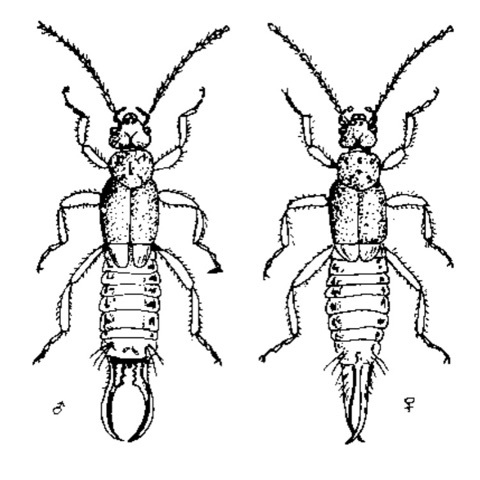 {32D39DE3-DB4F-4A0E-9C60-205048639018:01}