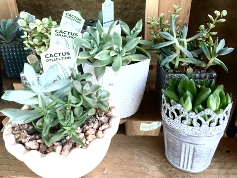 {465F1084-3ED8-43E6-90B0-E9FCEFDA0D60}