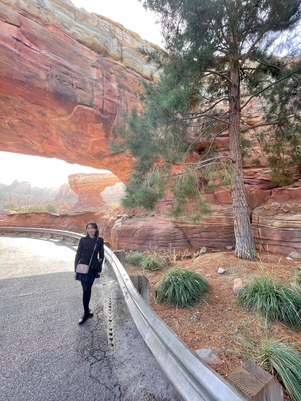 カリフォルニアディズニーのコインロッカーに感動 カリフォルニア旅行 Marriage Life In Arizona アリゾナで国際結婚 Powered By ライブドアブログ
