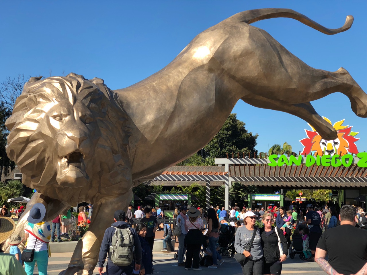 San Diego Zooへ 一眼レフの課題 Marriage Life In Arizona アリゾナで国際結婚 Powered By ライブドアブログ