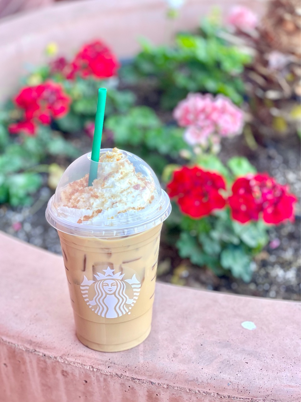 アラジン Aladdin☆コーヒーブリュワー＋スタバ Xmasリユーザブル