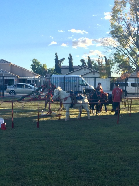 {90EB7CDC-E31D-445A-9DC8-20C99BDD73C6:01}