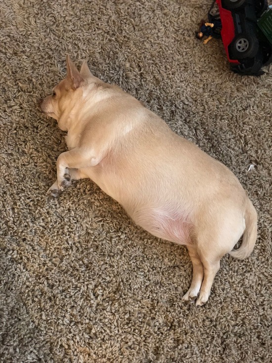 FullSizeRender