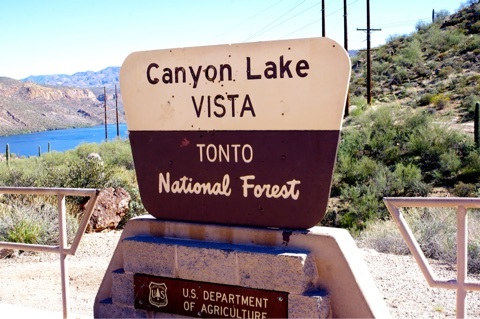 {3E5AA660-AC99-48F9-8DE3-F6C35928915A:01}