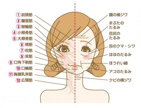 表情筋を使わない 日本語の発音 毎日の顔の体操で若顔に Marriage Life In Arizona アリゾナで国際結婚 Powered By ライブドアブログ 表情筋を使わない 日本語の発音 毎日の顔の体操で若顔に Marriage Life In Arizona アリゾナで国際結婚 Powered By ライブドアブログ