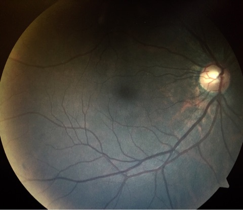 {95BCE26E-14E8-41D5-8CE0-ACF0F2312283:01}