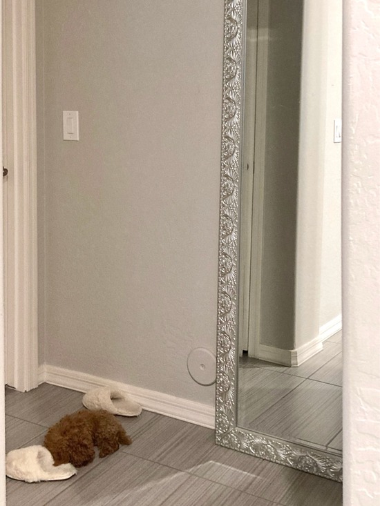 FullSizeRender