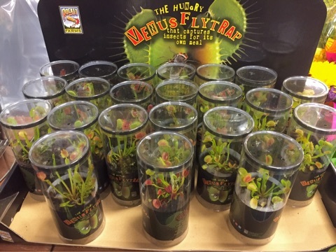 {F248895E-8A9F-427F-8D4E-B5E81A02D97D}