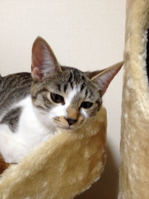 {0551E16F-B93E-46D8-8CDB-E225A64D2FCB:01}