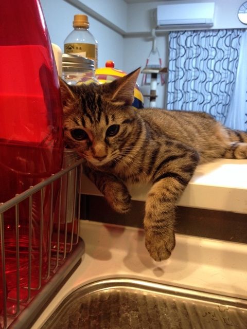 {A23FE677-3605-4A99-AB7A-63D35A4C8C6A:01}