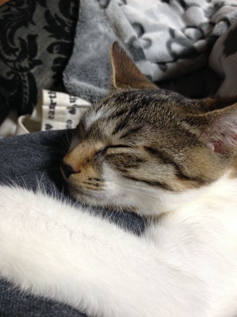 {003D5943-0455-47B1-BBC8-3A8CE3204489:01}