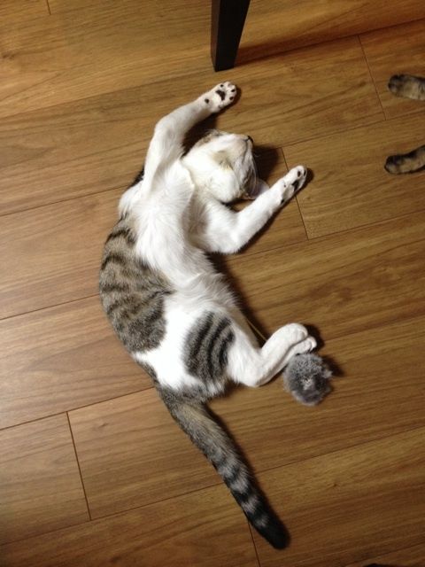 {A5213C79-6AE3-4815-A3F8-931F6DA993FF:01}