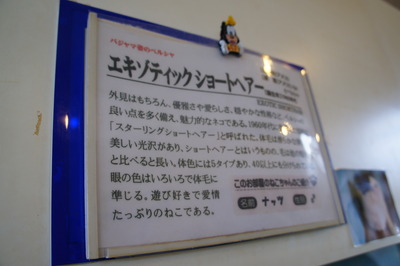 DSC02677