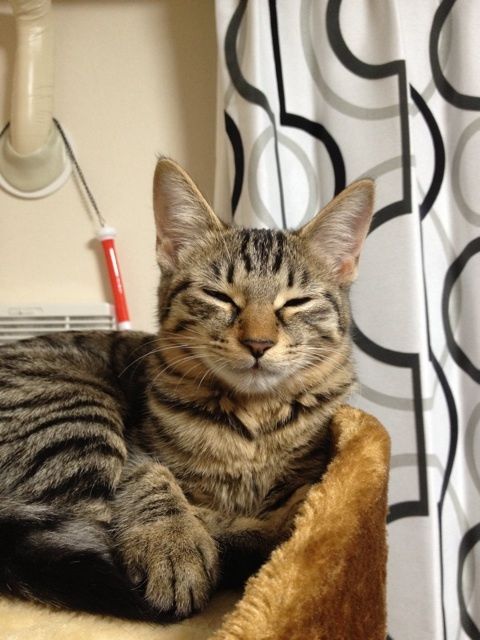 {4A715EAC-193D-4B4B-88AB-D9AB2D3CF43D:01}