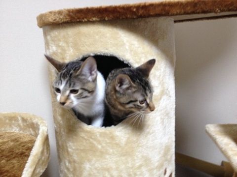 {57A3C9C8-75C0-46AA-AACC-4AAC92813CDC:01}