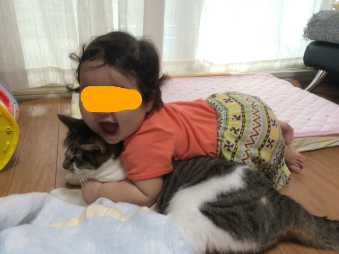 猫と子供 マロンとフランのお庭 猫と子供 マロンとフランのお庭