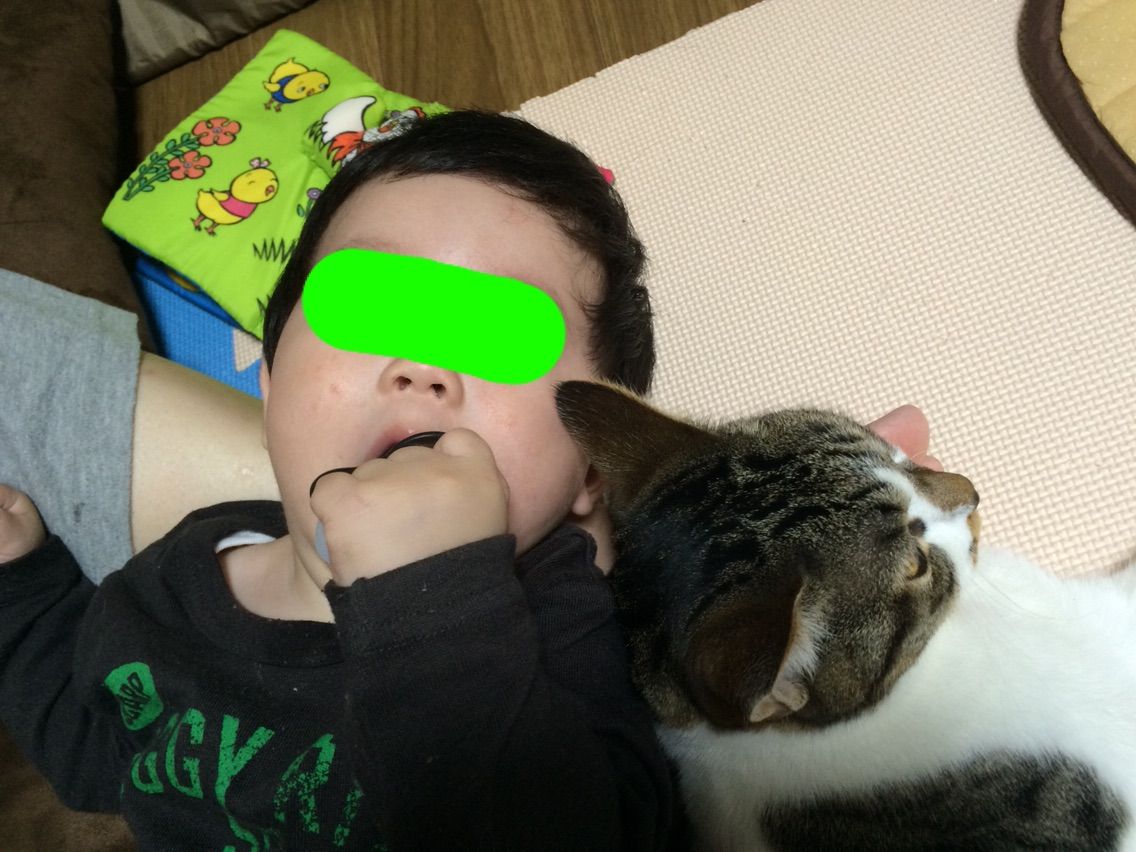 名言「子どもは5歳までに一生分の親孝行をする」に共感した2つの理由