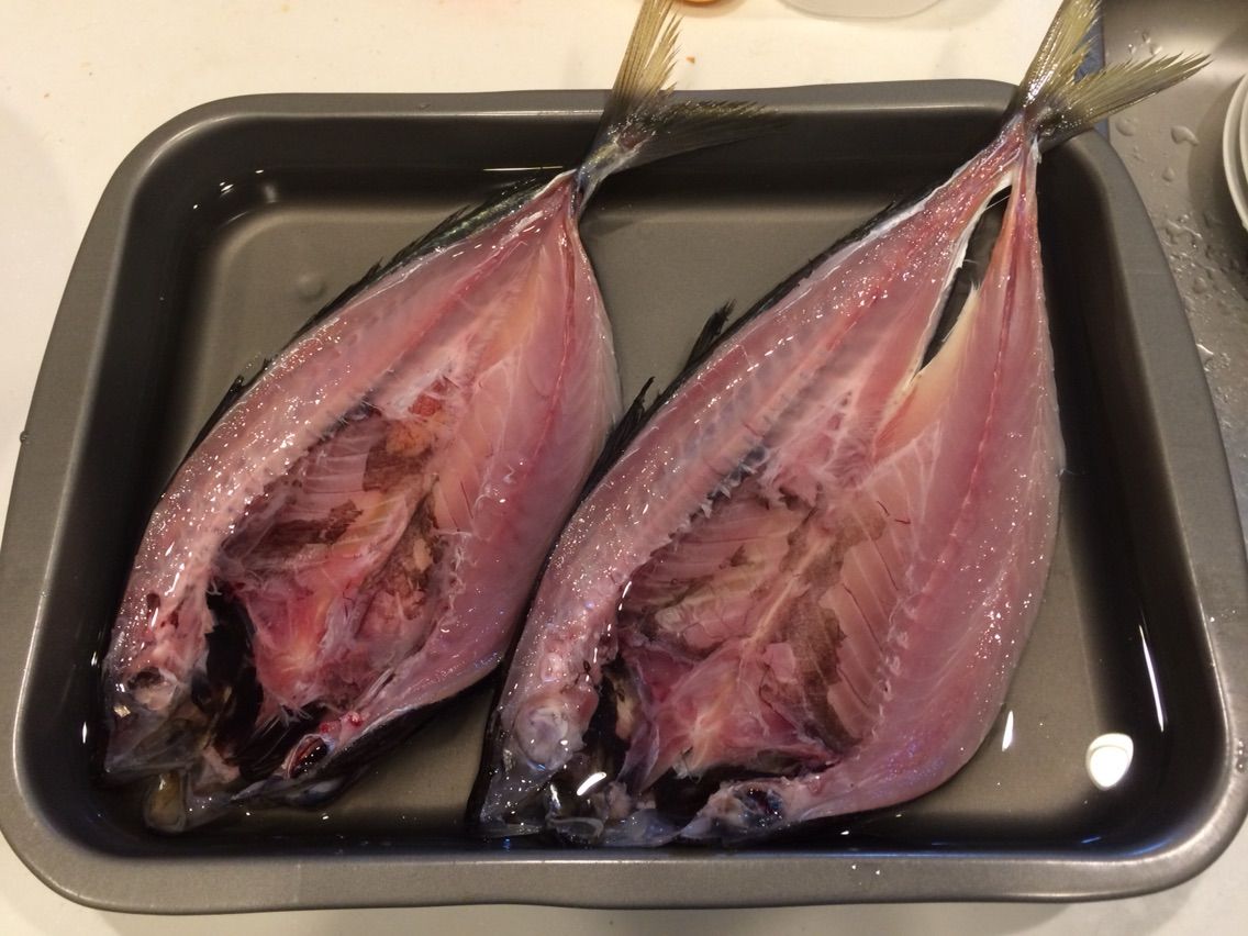 ベランダでアジの干物を作ったら 市販の物より美味しかった マロンとフランのお庭 ベランダでアジの干物を作ったら 市販の物より美味しかった マロンとフランのお庭